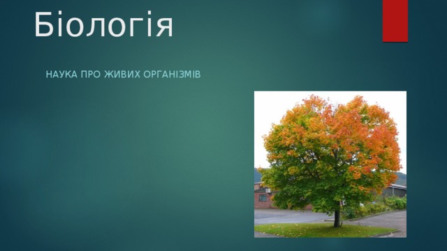 Біологія Наука про живих організмів 
