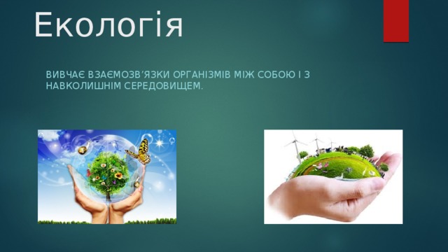 Екологія Вивчає взаємозв’язки організмів між собою і з навколишнім середовищем. 