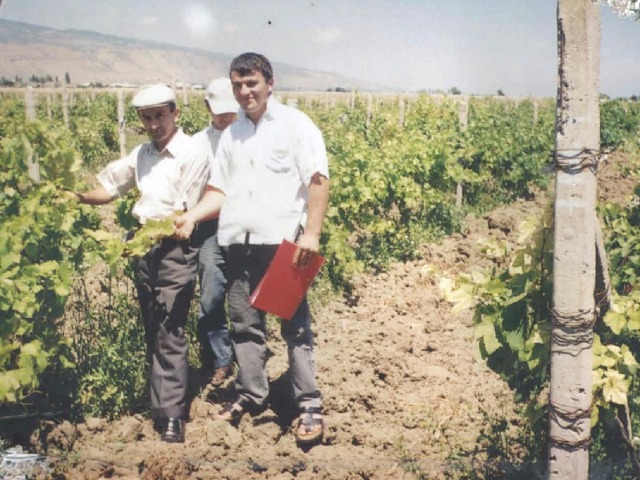                                 Виноградарство и виноделие достигли небывалого  развития и стали главной отраслью экономики края. 