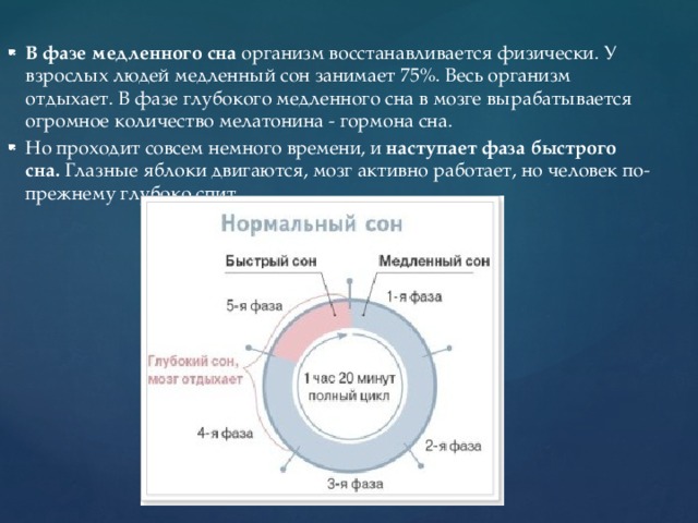 В фазе медленного сна  организм восстанавливается физически. У взрослых людей медленный сон занимает 75%. Весь организм отдыхает. В фазе глубокого медленного сна в мозге вырабатывается огромное количество мелатонина - гормона сна. Но проходит совсем немного времени, и  наступает фаза быстрого сна.  Глазные яблоки двигаются, мозг активно работает, но человек по-прежнему глубоко спит. 