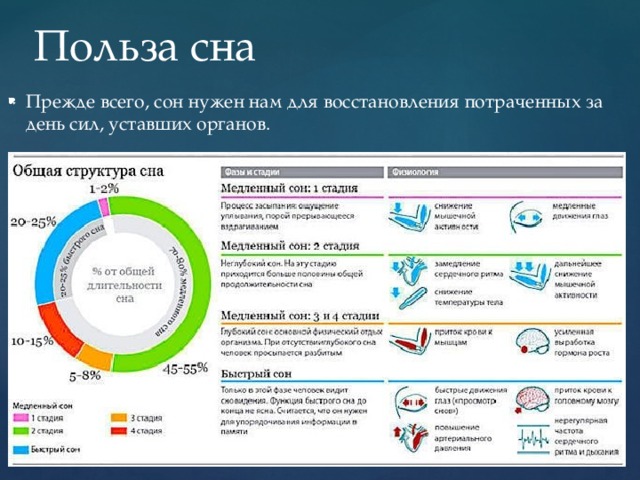 Польза сна Прежде всего, сон нужен нам для восстановления потраченных за день сил, уставших органов. 