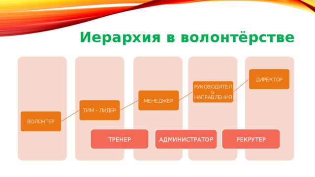 Качества волонтера. Иерархия волонтеров. Функции тим лидера волонтеров. Иерархия волонтеров волонтеров. Иерархия в волонтерском движении.