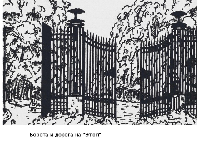 Ворота и дорога на 