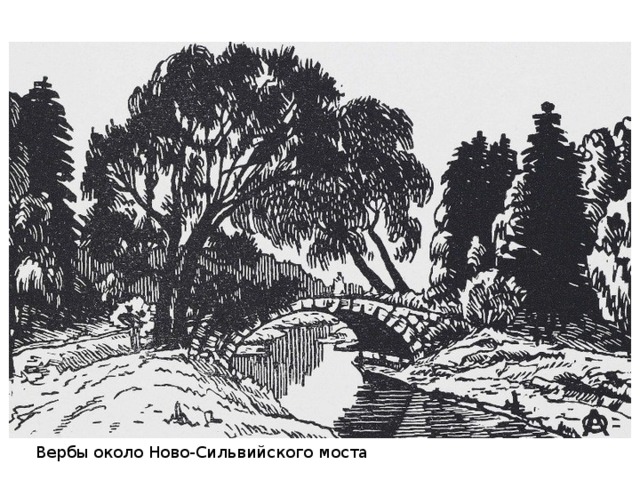 Вербы около Ново-Сильвийского моста 