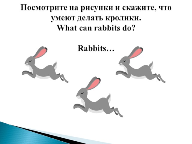 Что умеет делать кролик