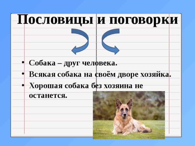 Пословица собака кошка. Поговорки про собак. Пословицы и поговорки о собаках. Проект о слове собака.