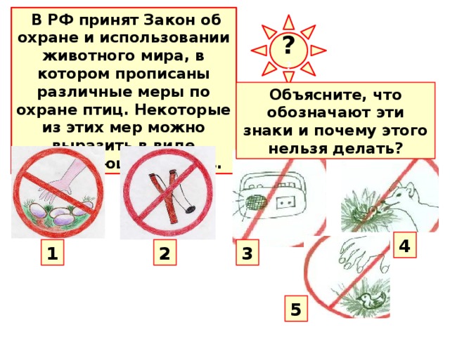 Чем могут гордиться жители вашей местности в плане охраны животного мира от чего стыдиться