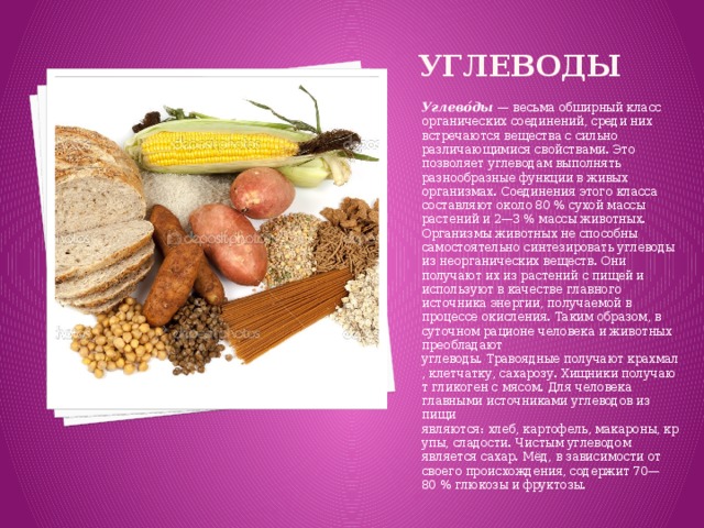 Углеводы Углево́ды  — весьма обширный класс органических соединений, среди них встречаются вещества с сильно различающимися свойствами. Это позволяет углеводам выполнять разнообразные функции в живых организмах. Соединения этого класса составляют около 80 % сухой массы растений и 2—3 % массы животных. Организмы животных не способны самостоятельно синтезировать углеводы из неорганических веществ. Они получают их из растений с пищей и используют в качестве главного источника энергии, получаемой в процессе окисления. Таким образом, в суточном рационе человека и животных преобладают углеводы. Травоядные получают крахмал, клетчатку, сахарозу. Хищники получают гликоген с мясом. Для человека главными источниками углеводов из пищи являются: хлеб, картофель, макароны, крупы, сладости. Чистым углеводом является сахар. Мёд, в зависимости от своего происхождения, содержит 70—80 % глюкозы и фруктозы. 