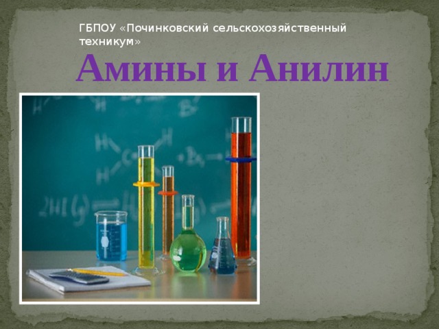 ГБПОУ «Починковский сельскохозяйственный техникум» Амины и Анилин  