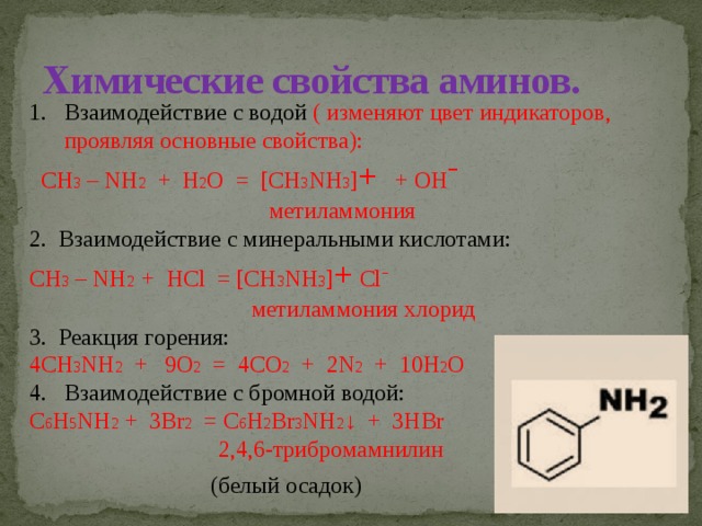 Азотосодержащее органическое соединение амины презентация