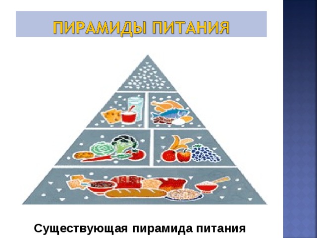 Существующая пирамида питания 