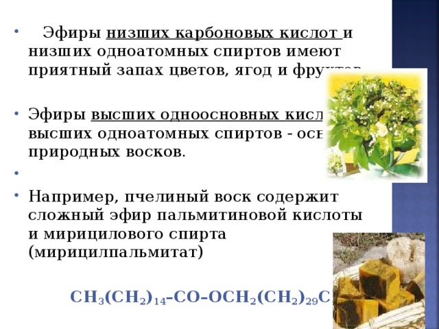  Эфиры низших карбоновых кислот и низших одноатомных спиртов имеют приятный запах цветов, ягод и фруктов.  Эфиры высших одноосновных кислот и высших одноатомных спиртов - основа природных восков. Например, пчелиный воск содержит сложный эфир пальмитиновой кислоты и мирицилового спирта (мирицилпальмитат)   CH 3 (CH 2 ) 14 –CO–OCH 2 (CH 2 ) 29 CH 3 . 