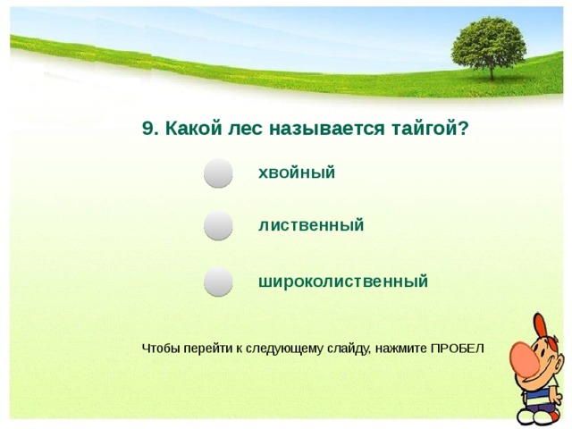 Какой лес называют. Какой лес называется тайгой. Какой лес мы называем тайгой. Тест по теме Тайга. Какой лес мы называем тайгой 4 класс окружающий мир.