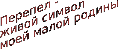 что символизирует перепелка у славян. Смотреть фото что символизирует перепелка у славян. Смотреть картинку что символизирует перепелка у славян. Картинка про что символизирует перепелка у славян. Фото что символизирует перепелка у славян