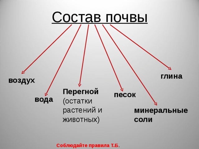 Проект по исследованию почвы