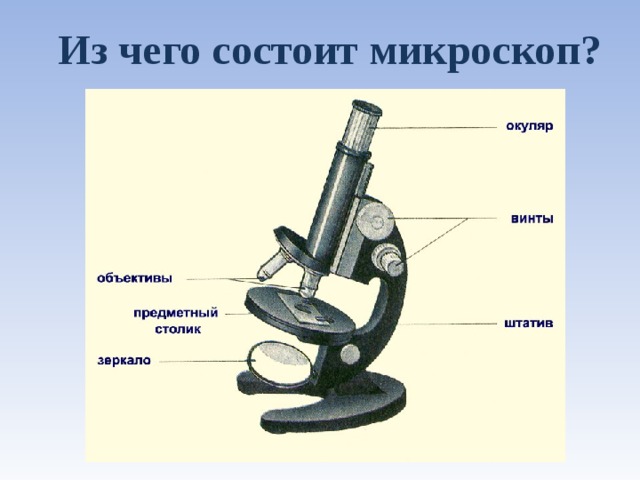 Из чего состоит капот