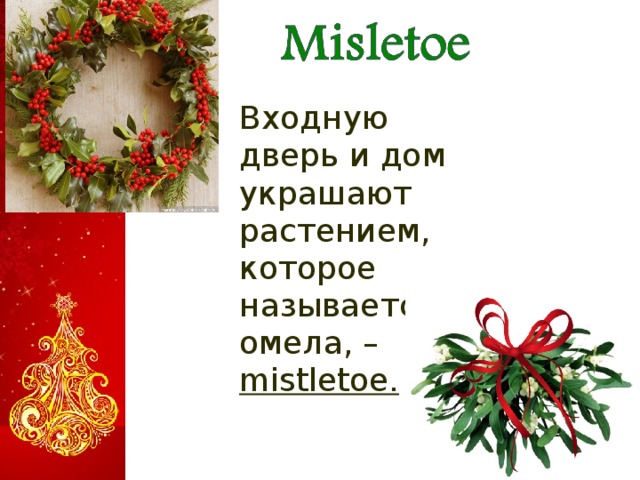  Входную дверь и дом украшают растением, которое называется омела, – mistletoe.   