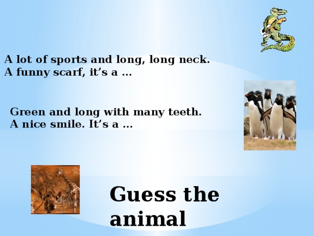 A lot of sports and long, long neck. A funny scarf, it’s a … Green and long with many teeth. A nice smile. It’s a … Guess the animal  