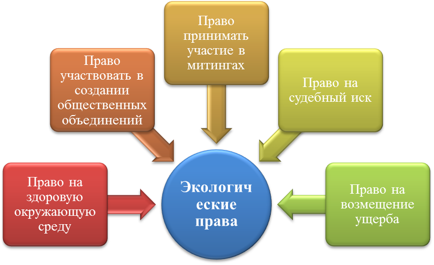 Система гарантий права человека и гражданина на благоприятную окружающую среду схема