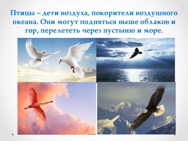 Легче птички она к нему подскочила. Птица способная перелететь океан. Перелететь. Воздушный океан предложение. Какие птицы обладают способностью подниматься высоко под облака.