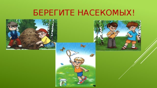 Берегите насекомых! 