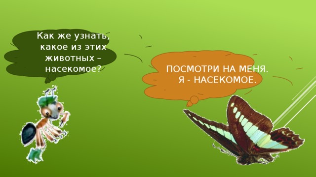 Как же узнать, какое из этих животных – насекомое? ПОСМОТРИ НА МЕНЯ. Я - НАСЕКОМОЕ.   