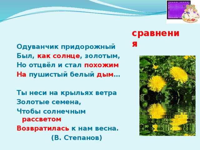 Одуванчик придорожный Был, как солнце , золотым, Но отцвёл и стал похожим На пушистый белый дым …   Ты неси на крыльях ветра Золотые семена, Чтобы солнечным рассветом Возвратилась к нам весна.  (В. Степанов) сравнения 