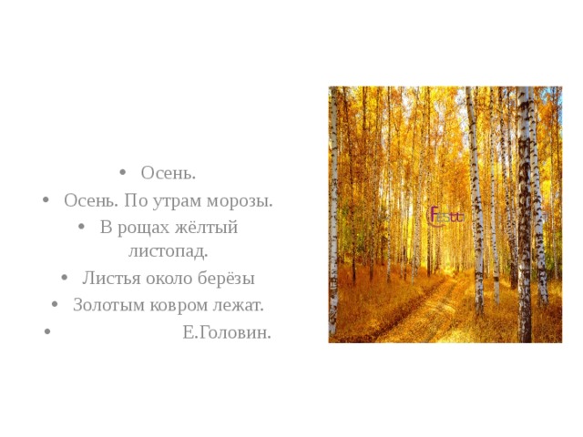 Осень. Осень. По утрам морозы. В рощах жёлтый листопад. Листья около берёзы Золотым ковром лежат.  Е.Головин. 