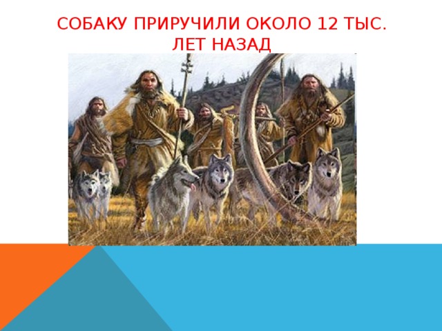 Я приручили пса бывшего