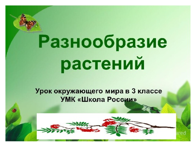 Охрана растений презентация 3 класс окружающий мир плешаков презентация и конспект