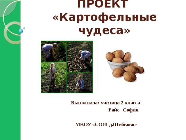 Проект про картошку 3 класс