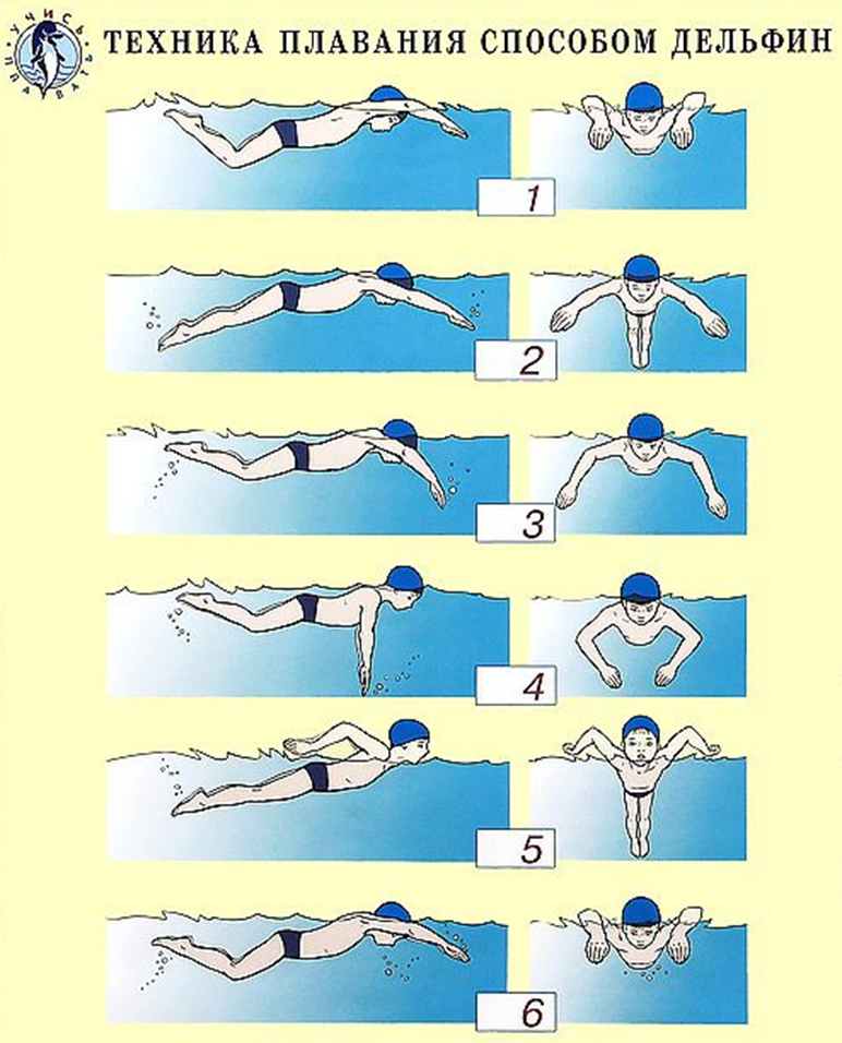 Упражнения научиться плавать