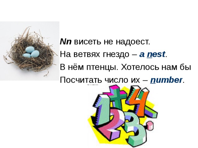 Nn висеть не надоест. На ветвях гнездо – a n est . В нём птенцы. Хотелось нам бы Посчитать число их – n umber . 