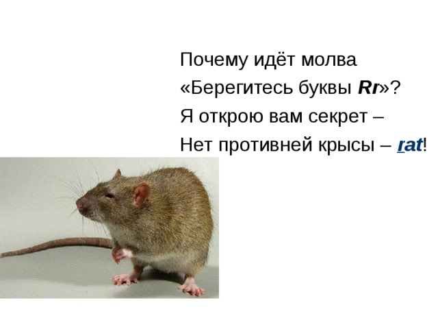 Почему идёт молва «Берегитесь буквы Rr »? Я открою вам секрет – Нет противней крысы – r at ! 