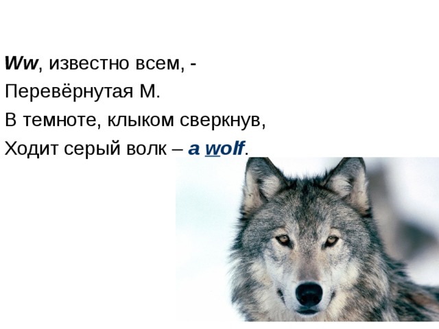 Ww , известно всем, - Перевёрнутая M. В темноте, клыком сверкнув, Ходит серый волк – a w olf . 