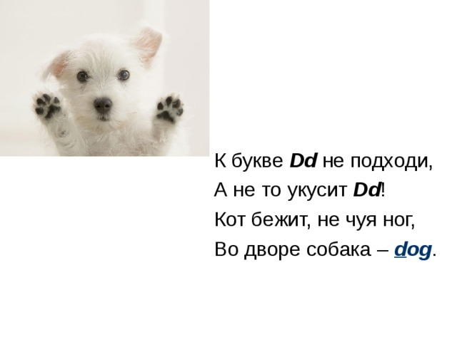К букве Dd не подходи, А не то укусит Dd ! Кот бежит, не чуя ног, Во дворе собака – d og . 