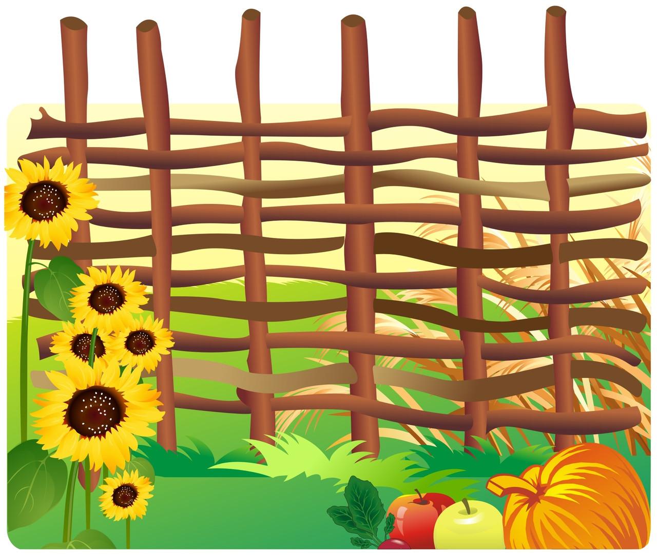 Забор картинка для огорода. Плетень с подсолнухами. Плетеный забор с подсолнухами. Красивый плетень. Забор для детей.