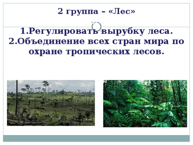 2 группа – «Лес»  Решение  1.Регулировать вырубку леса.  2.Объединение всех стран мира по охране тропических лесов . 