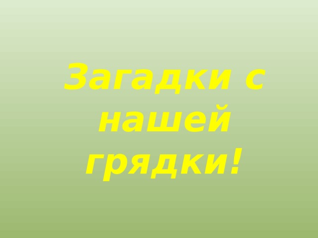 Загадки с нашей грядки! 