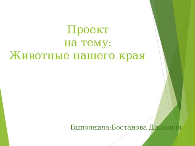  Проект  на тему:  Животные нашего края Выполнила:Бостанова Джамиля 