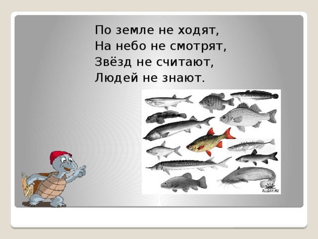  По земле не ходят,  На небо не смотрят,  Звёзд не считают,  Людей не знают. Ют,   