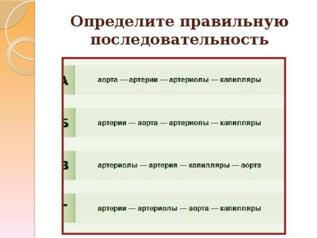 Определите правильную последовательность 