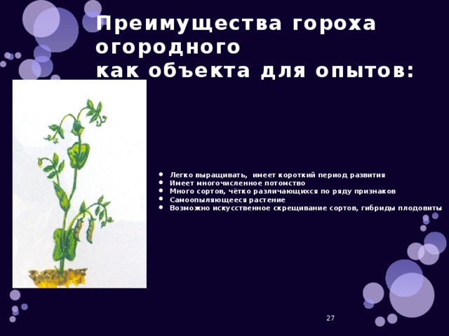 Преимущества гороха огородного  как объекта для опытов: Легко выращивать, имеет короткий период развития Имеет многочисленное потомство Много сортов, чётко различающихся по ряду признаков Самоопыляющееся растение Возможно искусственное скрещивание сортов, гибриды плодовиты  