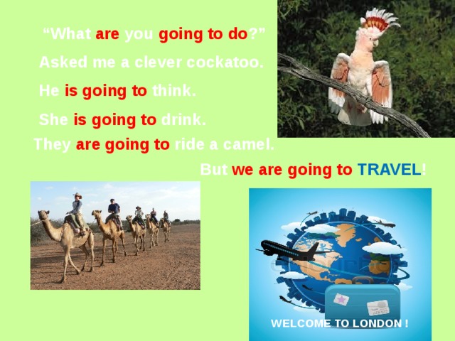 “ What are you going to do ?” Asked me a clever cockatoo. He is going to think. She is going to drink. They are going to ride a camel. But we are going to TRAVEL ! WELCOME TO LONDON ! 