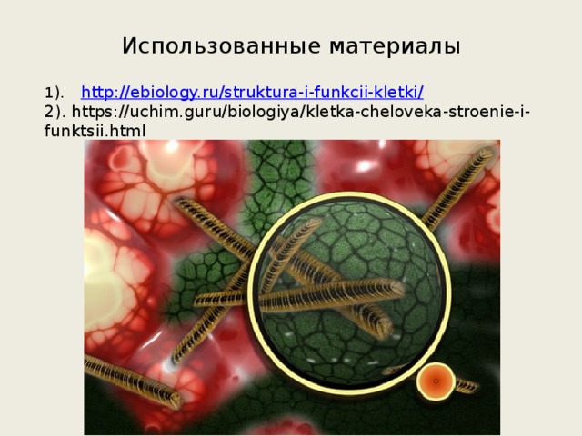 Использованные материалы 1 ). http://ebiology.ru/struktura-i-funkcii-kletki/ 2). https://uchim.guru/biologiya/kletka-cheloveka-stroenie-i-funktsii.html 