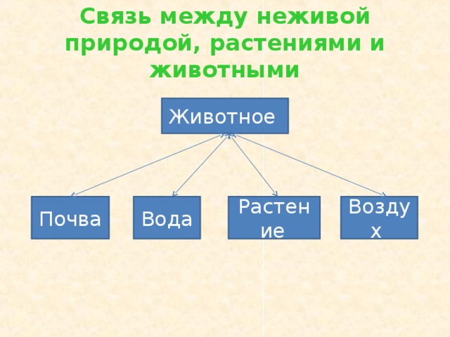 Связь между неживой природой, растениями и животными Животное Воздух Растение  Вода Почва 