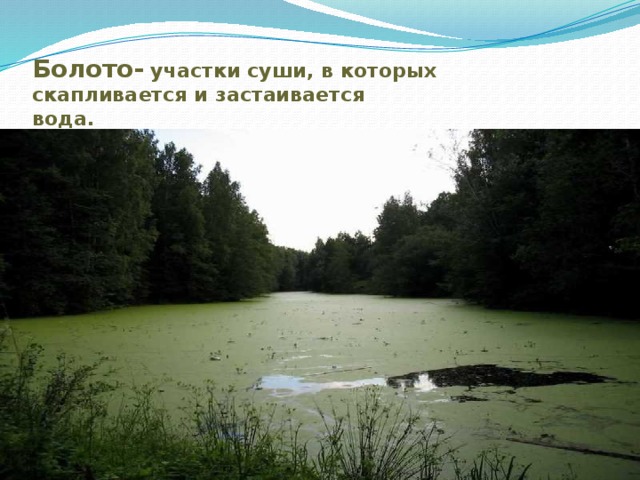 Водные богатства нашего края