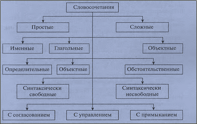 Примеры основных единиц синтаксиса