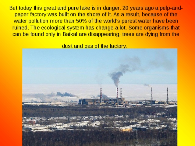 But today this great and pure lake is in danger. 20 years ago a pulp-and-paper factory was built on the shore of it. As a result, because of the water pollution more than 50% of the world’s purest water have been ruined. The ecological system has change a lot. Some organisms that can be found only in Baikal are disappearing, trees are dying from the dust and gas of the factory.  