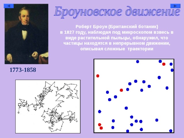  Роберт Броун (Британский ботаник) в 1827 году, наблюдая под микроскопом взвесь в виде растительной пыльцы, обнаружил, что частицы находятся в непрерывном движении, описывая сложные траектории   1773-1858  